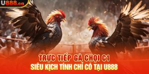 Trực Tiếp Gà Chọi C1 Siêu Kịch Tính Chỉ Có Tại U888