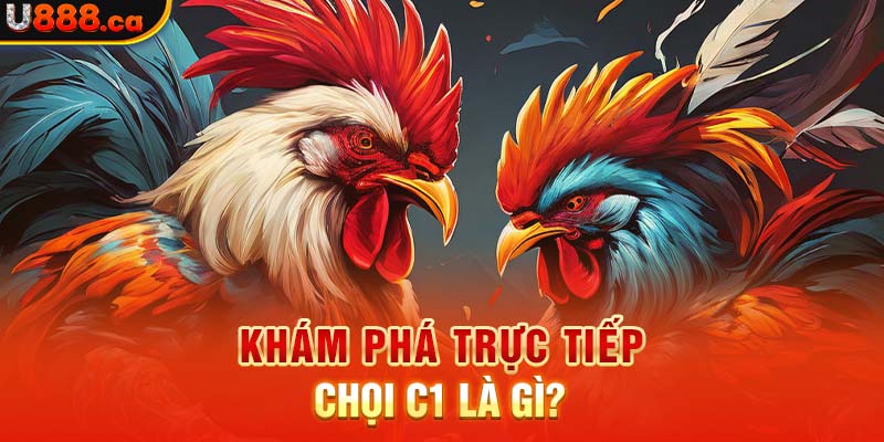 Khám phá trực tiếp gà chọi c1 là gì?