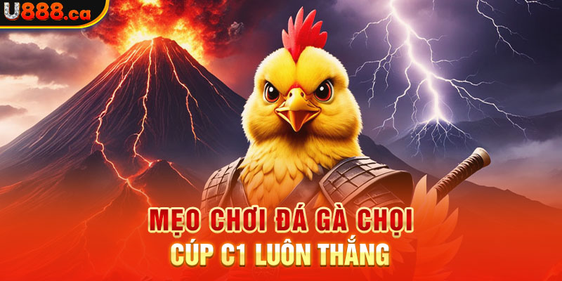 Mẹo chơi đá gà chọi cúp c1 luôn thắng