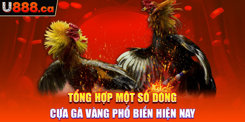 Tổng hợp một số dòng cựa gà vàng phổ biến hiện nay