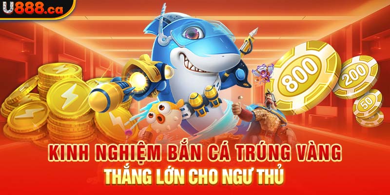 Kinh nghiệm bắn cá trúng vàng thắng lớn cho ngư thủ